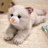 PEACH CAT Cat Stuffed Animal 9.8" Realistic Kitten Plushies Soft Plush Toys
