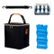 Breastmilk Cooler Bag with Ice Pack - Insulated Breast Milk Storage for