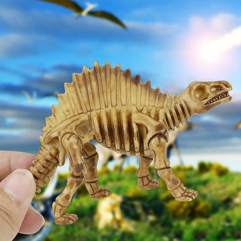 6 Inch Dinosaur Fossil Skeleton for Kids 3-10+, Dino Bones for Science Play, Educational Gift for Kids