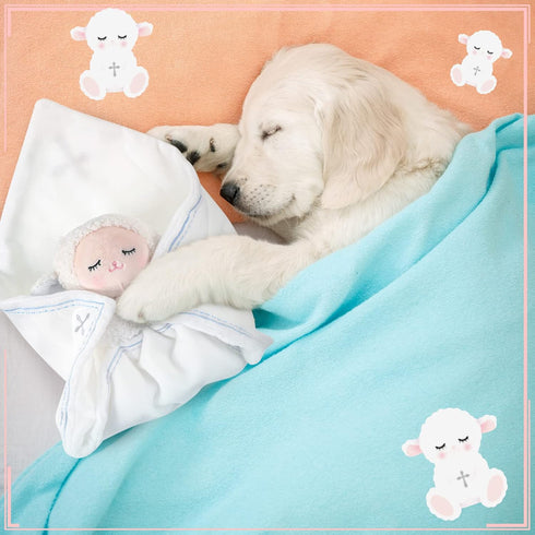 Baptism Gifts for Baby Girl Boys, Lamb Security Blanket with Christian Cross, Soft Bedtime Toy (Pink)