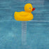 MAGIC TIME INTERNATIONAL LTD Ripple: Duck Thermometer - Pool & Hot Tub Spa Temperature Readings, Fahrenheit & Celsius