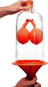 EISCO Lung Function Demonstration Model, 13 Inch, Rubber & Plastic, Shows Air Flow & Muscle Function