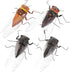 Toyvian 4Pcs Plastic Cicada Fake Model, Simulated Insect Toys for Joke Halloween Party Favors, Random Color