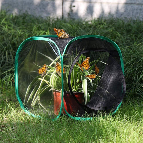 RESTCLOUD Insect and Butterfly Habitat Cage Terrarium Pop-up 12 X 12 X 12 Inches