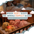 Gemma Joy Baby Sleep Soother Puppy for Baby Cry Activated Heartbeat Stuffed Animal Rechargeable Crib Soother with White