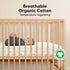 Pack 2-Pack 2-Pack Pack Keababies and Play Sheets Fitted, Mini Crib Sheets and Crib Sheets - Fitted Crib Sheet