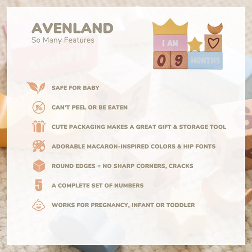 Baby Monthly Milestone Blocks Set of 12, Charming Wooden Newborn Age Blocks for Monthly Milestone Baby Photo Props &