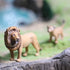 Gemini&Genius 2Pcs Lion Toys for Kids, Safari Animal Figures, Wildlife Family Lions Action Figures for Educational Toys