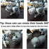 9 Pcs Cute Miniature Cat Figure Toys, Animal Characters Collection Playset, Cake Topper, Plant Decoration