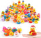 umbresen Rubber Ducks Bath Toy in Bulk, Assortment Jeep Ducks for Jeep Ducking,