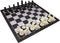 9.8" Magnetic Travel Chess Set, Portable Folding Chess Board for Adults and Kids, Black & White Color