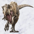 Kiddale Raptor Dinosaur Wall Stickers - Peel and Stick Removable Decals for Kids' Bedroom and Living Room