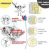 PkghoKids T13 Accessories,T13 t-13 3D 5.5inch) Action Figure Already Assembled Multi-Jointed Movable,for Collectors