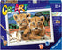 Ravensburger Little Lion Cubs Paint by Numbers Kit - Arts and Crafts for Kids Ages 11 and Up