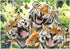 Anatolian Puzzle - Tiger Selfie - 260 Piece Jigsaw Puzzle #3332, Multicolor