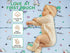 2025 Pack 38" 26" Pack Upgraded and Play Mattress x Soft Firm Premium Foam N Play Mattresses Odorless Breathable