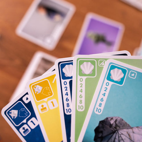 Pandasaurus Games Sea Salt and Paper Card Game - Ocean-Themed Strategy Game for Kids and Adults, Ages 8+, 2-4 Players