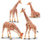 Toymany 4PCS Realistic Giraffe Figurines Playset - Includes Giraffe Cub, Educational Toy for Kids