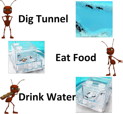 Ant Farm Gel Ant Castle Colony Ecosystem Terrarium Kit for Kids