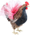 pranovo Chicken Tutu for Your Hen Decoration Skirt Princess Dress (Cloth Style)