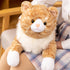 Litence 3.9 lbs 21 inch Cat Weighted Stuffed Animals, Weighted Cat Plush Toy Realistic Cat Weighted Plush Animals