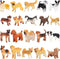 ONEST 20 Pieces Mini Dog Figurines Playset - Hand Painted Tiny Dogs, Realistic Detailed Plastic Puppy Figures for Kids