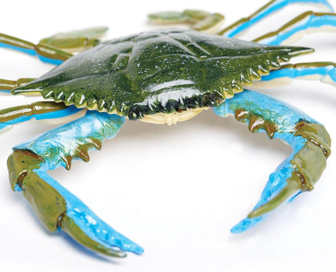 7" 18M+ Safari Ltd. Blue Crab Figurine - Realistic Model Figure - Educational Toy for Boys, Girls, and Kids Ages