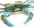 7" 18M+ Safari Ltd. Blue Crab Figurine - Realistic Model Figure - Educational Toy for Boys, Girls, and Kids Ages