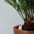 NUOBESTY Cute Penguin Toys Mini Figure Collection Playset, 8 Pieces Penguin Cake Topper