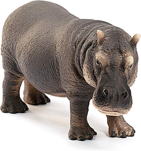 3+ Schleich Wild Life Realistic Detailed Hippopotamus Figurine - Wild Hippo Figurine Toy for Play and Education, Highly