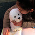 14" Realistic Plush Maltese Dog - Stuffed Animal Puppy Dog Toys - Soft Plush Pillow for Kids and Adults