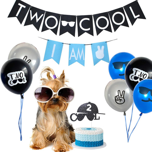 Two Cool Birthday Party Decorations - I AM TWO Banner, Balloons, Cake Topper for Little Man's 2nd Birthday