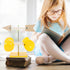 Durable Weather Vane, Wind Indicator Tools for Classroom and School