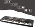 LeeQee Digital Keyboard Piano for Kids - 61 Keys Multifunction Electric Piano with Microphone for Ages 3-12 (Black)