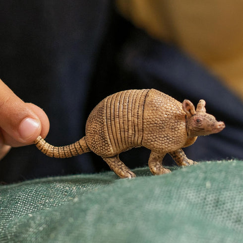 Schleich Wild Life New 2024 Armadillo Figurine, Wild Animal Toy