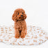 LifeTree Baby Swaddle Blankets Dog, 70% Viscose Bamboo and 30% Cotton Muslin, Large 47" x 47", Poodle Puppy