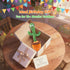 6+ 10 1 2 3 4 5 6, Talking Cactus Toy for Babies Months & Toddlers - Dancing Singing Repeating Cactus Toy with Songs