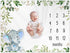 Baby Monthly Milestone Blanket Elephant, Safari Baby Photo Blanket, Gift for New Moms, 50"x40"