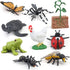 Montessori Frog Life Cycle with Flash Cards, Plastic Insects Tadpole to Frog Kit Toy, Realistic Animal Figurines