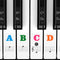 Eison Colorful Piano Stickers for Keys - Removable 88/61/54/49/37 Full Set Stickers, Great Children's Gift