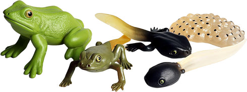 Gemini&Genius Life Cycle of Frog Figurines, Bulk Insect Growth Diary Action Figures, Fun Learning Gifts, Party Favors