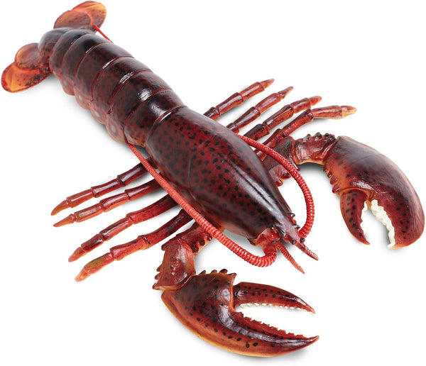 Safari Ltd. Maine Lobster Figurine - Realistic 8" Crustacean Figure - Educational