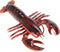 Safari Ltd. Maine Lobster Figurine - Realistic 8" Crustacean Figure - Educational