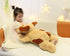 26.8 inch 5 lbs Large Weighted Stuffed Animals, Cute Plush Toy Pillow, Gifts for Kids, Adults, Boys and Girls