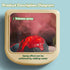 Ponilyer 3-12 Dinosaur Track Toy, Electric Simulated Scenario Car Road, Children's Competition Race Track, Music