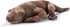 20 inches The Petting Zoo Komodo Dragon Stuffed Animal, Gifts for Kids, Wild Onez Zoo Animals, Komodo Dragon Plush Toy