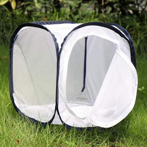 Insect and Butterfly Habitat Cage Terrarium, Pop-up 12 X 12 X 12 Inches