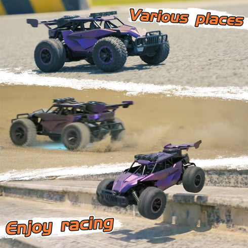 1:16 Scale Purple Remote Control Car, 20 Km/h High Speed Monster Vehicle with LED Headlights, RC Truck for Kids Adults