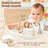 Baby Teething Relief Sensory Toys - High Chair Suction Cup Toys, Tactile Silicone Teether Developmental Toy for Babies