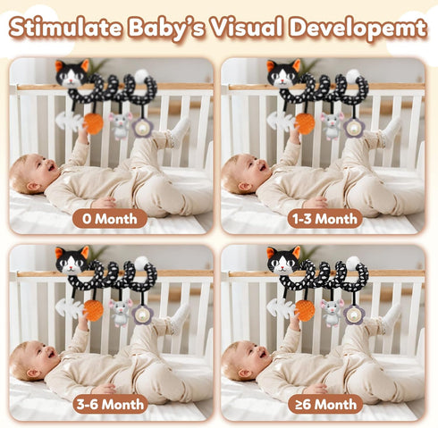Black & White Spiral Rattle Toy for Babies - Cat Design